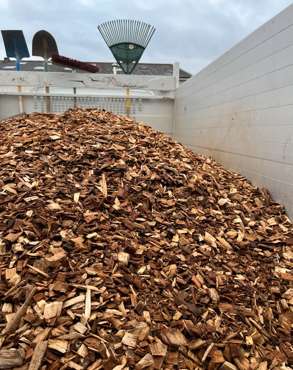 Chip forestali trucioli - immagine 3