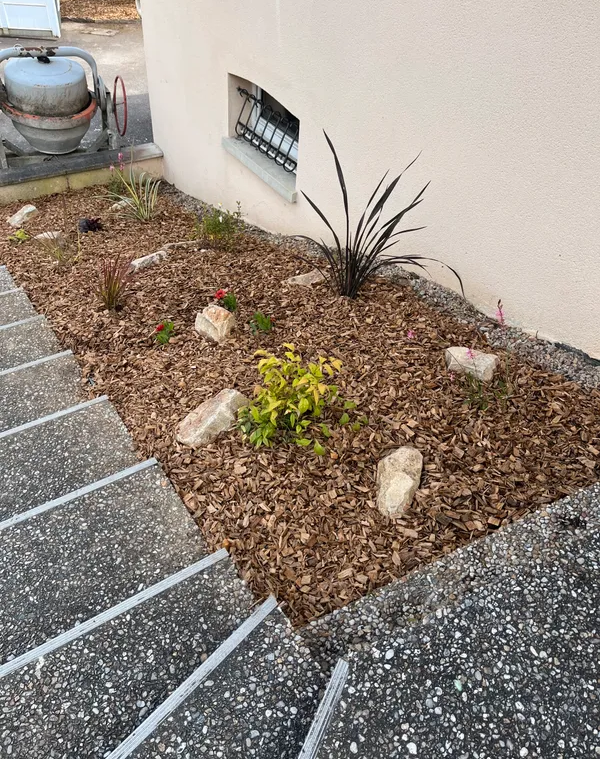 Chip forestali trucioli - immagine 4